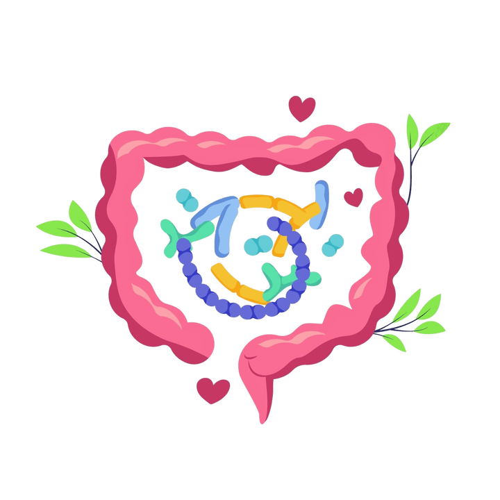 Digestão saudável e sem parasitas