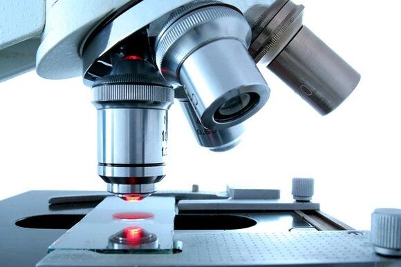 método microscópico para diagnosticar parasitas