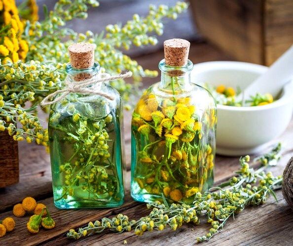 tintura de tanásia para remover vermes